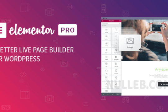 Elementor PRO v3.20.2 – WordPress Page Builder (Nulled)